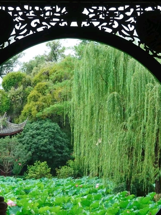 Stylish Stay in Chengdu