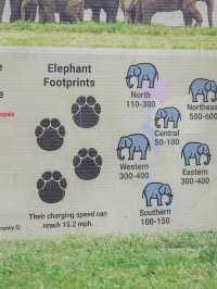 🇹🇭태국 Elephant Nature Park(ENP)에 대해 알고 있나요?🇹🇭
