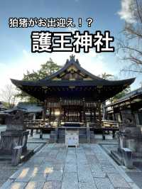 【京都】イノシシにまつわる珍しい神社・護王神社