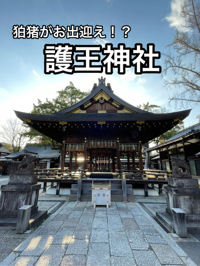 【京都】イノシシにまつわる珍しい神社・護王神社