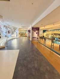【済州島】見どころたっぷり✨済州が学べる博物館✨