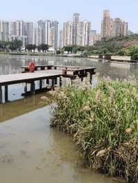 氹仔濕地公園，點都要去一次👍👍👍