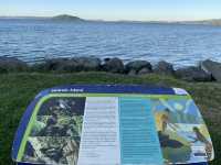 Mokoia Island 紐西蘭北島羅托魯瓦湖（Lake Rotorua）中央的一座神秘小島
