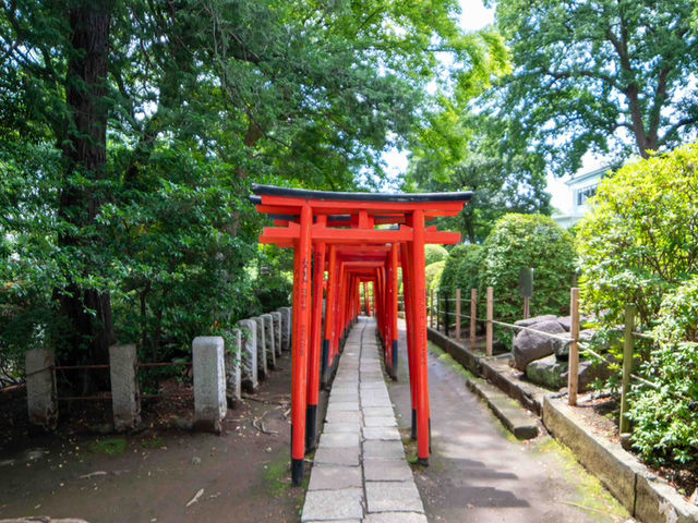 彩り豊かな境内を切り取る、根津神社スナップ📷💫