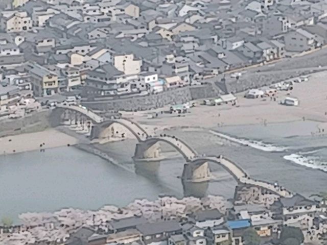 岩国市の錦帯橋