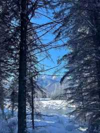 Awakening in Hemu: A Picture-Perfect Winter Sunrise