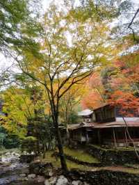 大阪郊區秘境一日遊，勝尾寺祈福 × 箕面瀑布森林漫步