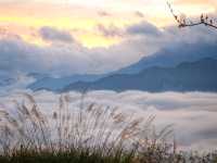 อาลีซาน 阿里山