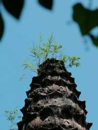 Discover Thousands Pagodas at Caoyutian