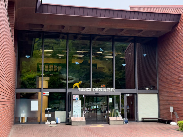 【秩父の自然をまるっと体感】埼玉県立 自然の博物館（長瀞）🦴🌋