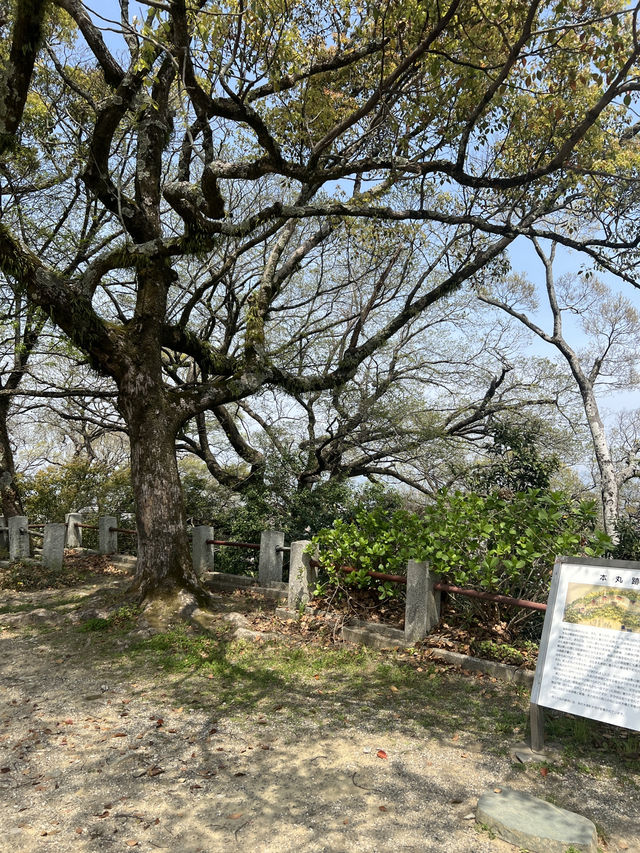 德島城遺跡