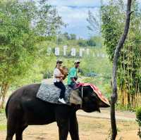 Safari Lagoi Bintan: A Wildlife Sanctuary
