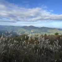 【大洞山〜尼ヶ岳】⛰️ 関西百名山