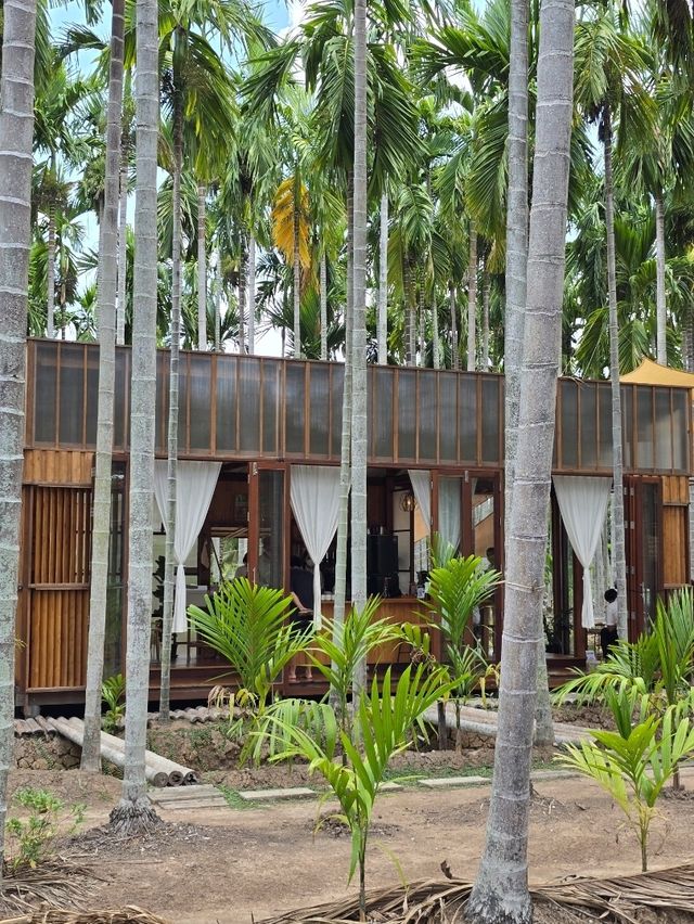 ฌาณหมาก Coffee & Farm