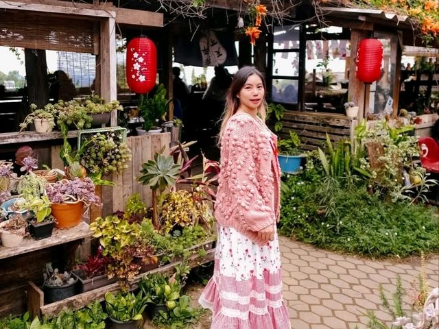 โปโป&ปิงปิง