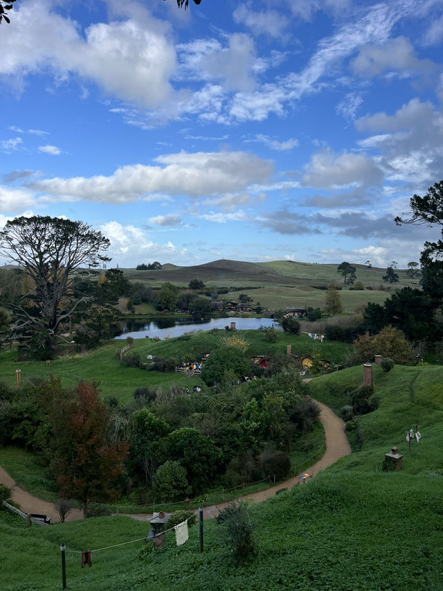 Hobbiton Village & Mt Victoria Wellington Lookout