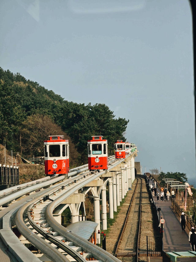 Busan a famous coastal city 