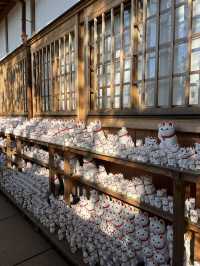 東京充滿招財貓的可愛神社—豪德寺