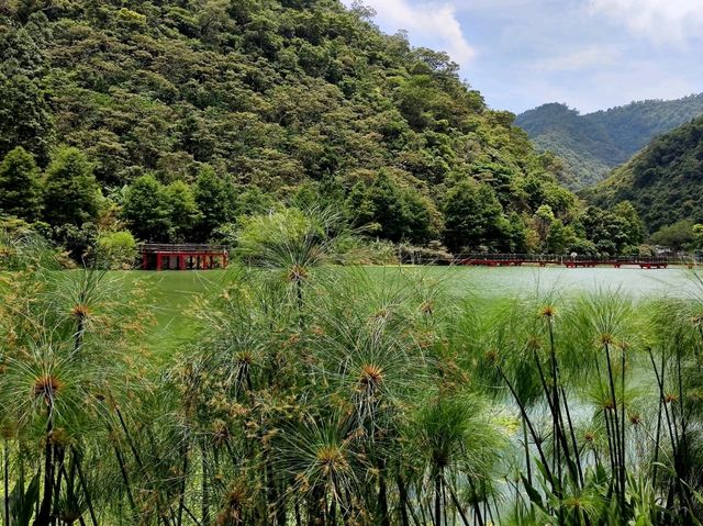 #望龍埤-宜蘭縣員山鄉