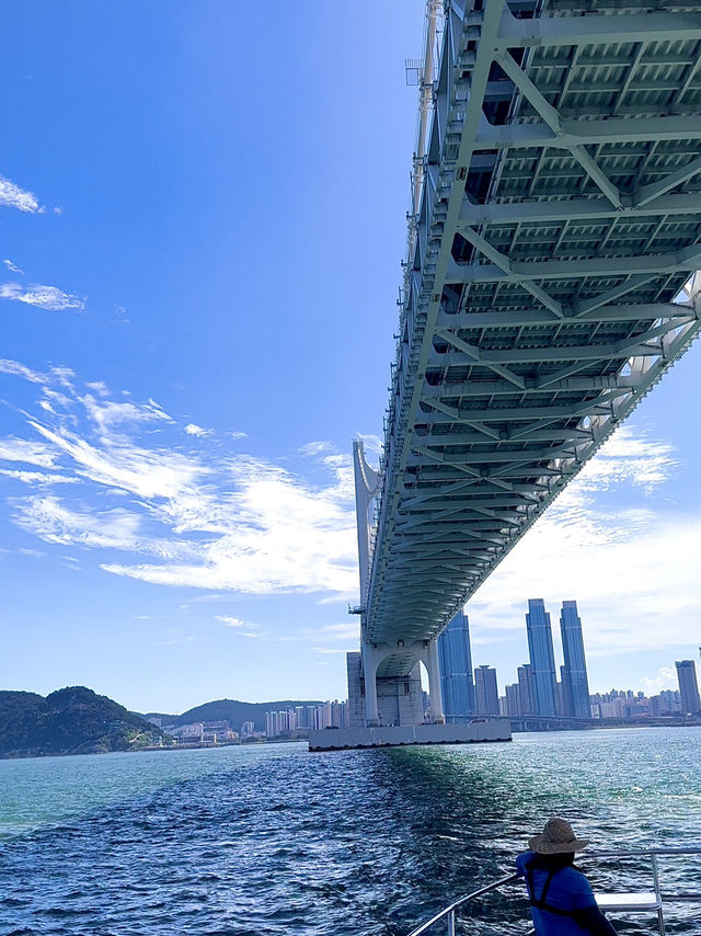 Busan Yacht Experience