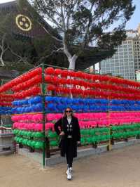 ✨💕Beautiful Jogyesa Temple✨💕Must Visit! 