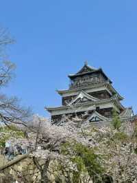 【広島】広島城桜まつり