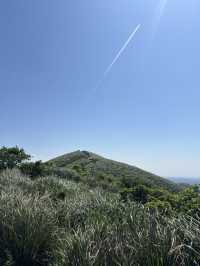 風從草原來——陽明山擎天崗的緩步與遠望