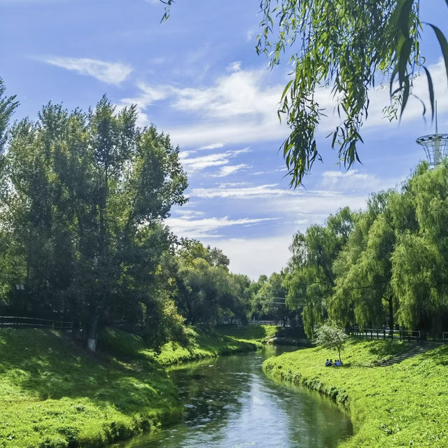 鶴洞公園•城市綠色秘境