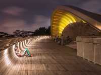 🌉 Henderson Waves: Singapore’s Most Instagram-Worthy Bridge (With a Side of Jungle Vibes!) 🌿