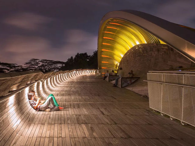 🌉 Henderson Waves: Singapore’s Most Instagram-Worthy Bridge (With a Side of Jungle Vibes!) 🌿