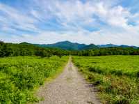 高架木道🌳🌲で自然を感じる旅