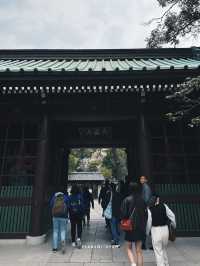 Kamakura (鎌倉) 🚃🌊 (คามาคุระ)