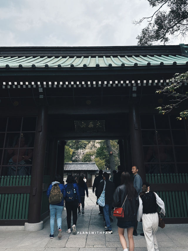 Kamakura (鎌倉) 🚃🌊 (คามาคุระ)