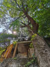 位處半山的百年古代禪院