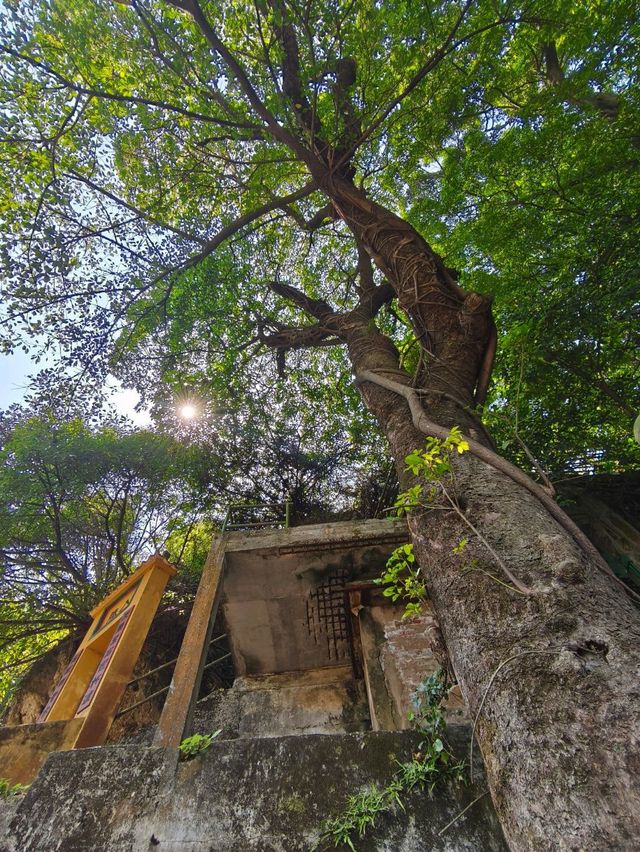 位處半山的百年古代禪院