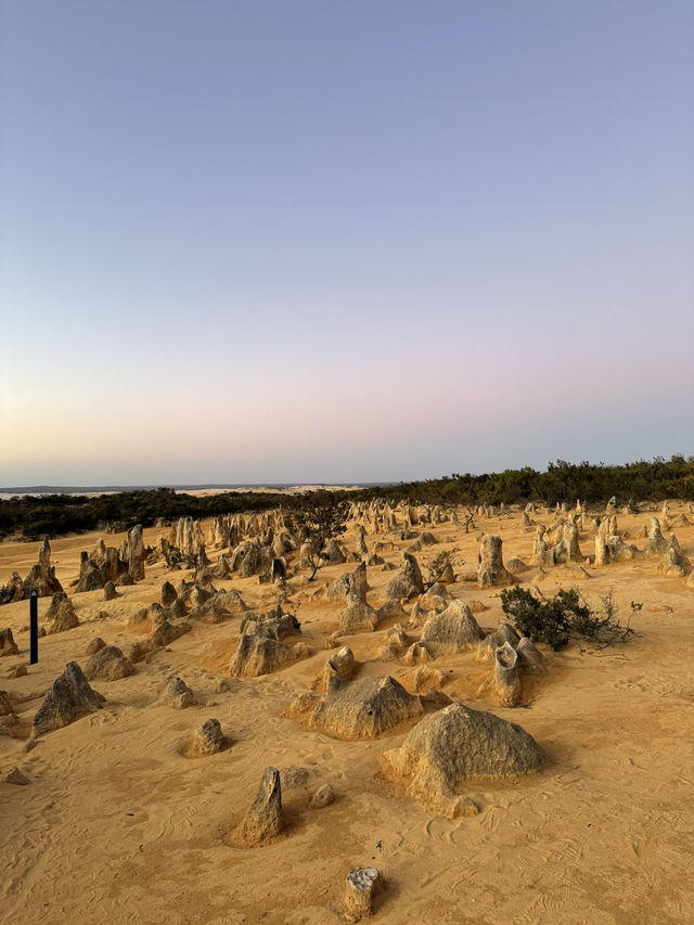 澳洲尖峰石陣：地球上的外星奇景！🌌🪨**  