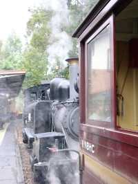 🚂✨ 乘坐墨爾本的Puffing Billy小火車