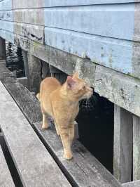 甘榜亞逸水上村落