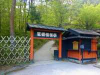 Step Back in Time at Edo Wonderland