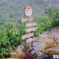 ภูล้านดาวแคมป์