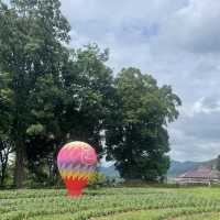 Songkhla Flower Farm สวนดอกไม้แห่งแรกในสงขลา