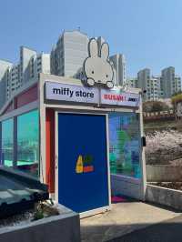 🫶🏻부산 미피카페 주차 영도 가볼 만한 곳 추천