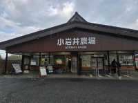 小岩井大満喫☆