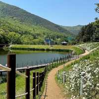 Jinbatgol forest park