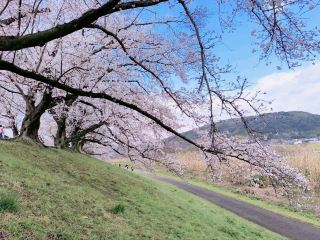 Beautiful Flower Garden