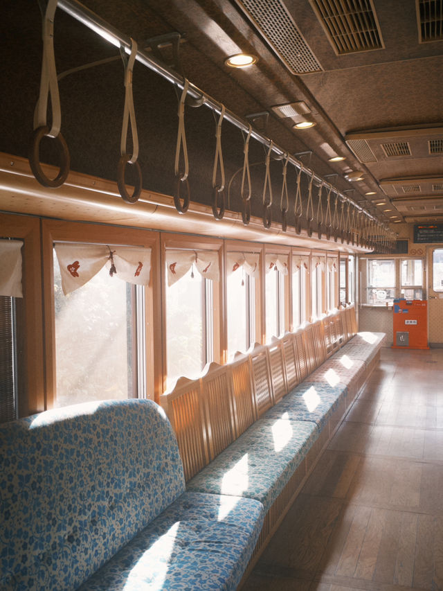 🌸和歌山必體驗｜會微笑的貓咪電車巡禮🐾