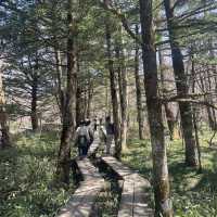 【長野】人生で一度は行きたい絶景スポット🏔️