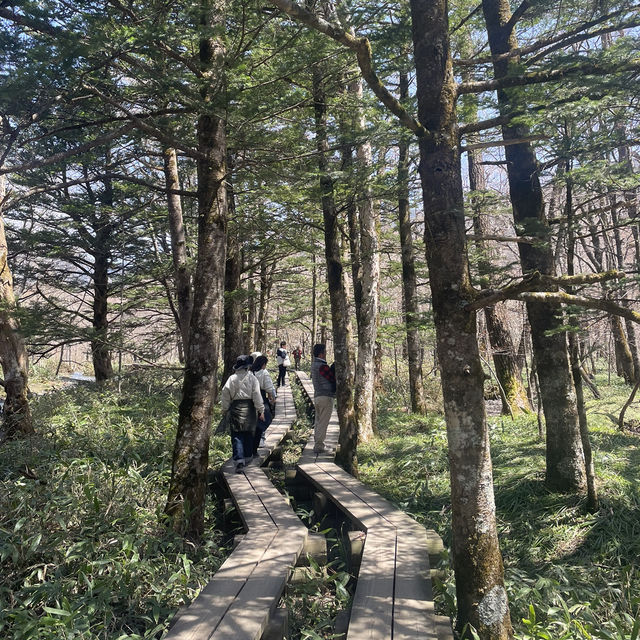 【長野】人生で一度は行きたい絶景スポット🏔️