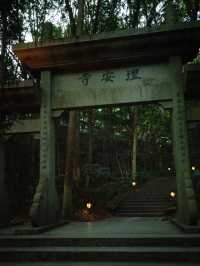 Hangzhou in December still gives autumn scenery!