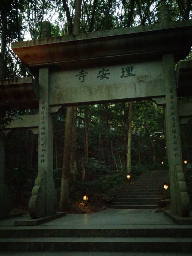 Hangzhou in December still gives autumn scenery!
